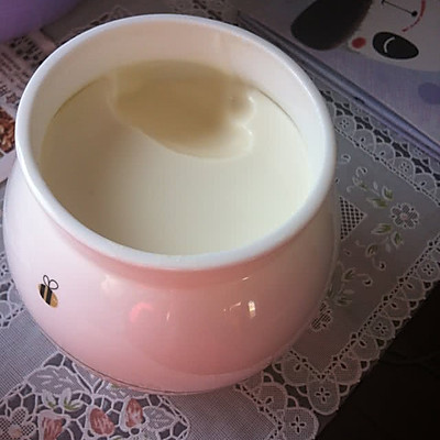 无添加简单酸奶机做凝固酸奶