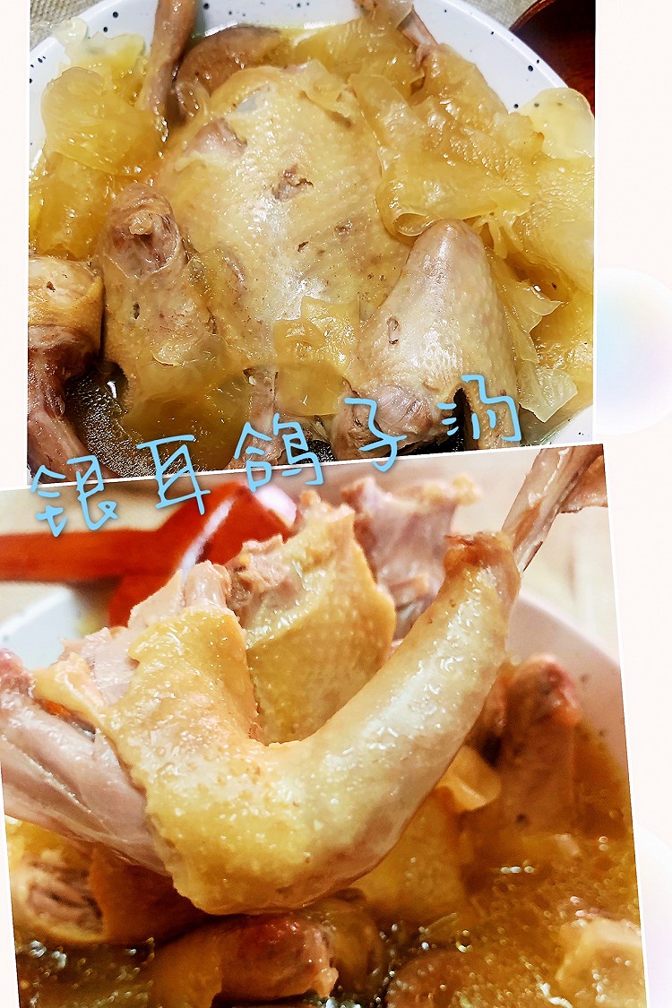 银耳鸽子汤的做法