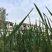 蛋炒金针菇韭菜的做法图解1