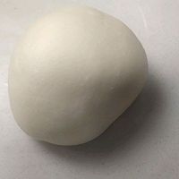 椰蓉小餐包(一次发酵)的做法图解6