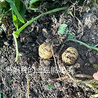 红烧肉排骨炖土豆 好吃到爆 土豆粉粉糯糯 排骨软烂入味的做法图解1