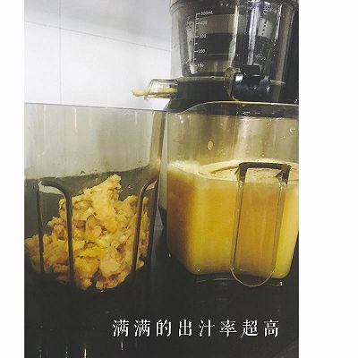 苹果鲜橙汁原汁机