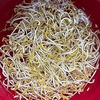 牛奶盒盒自发绿豆芽的做法图解15