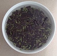 凉拌蕨菜粉的做法图解2