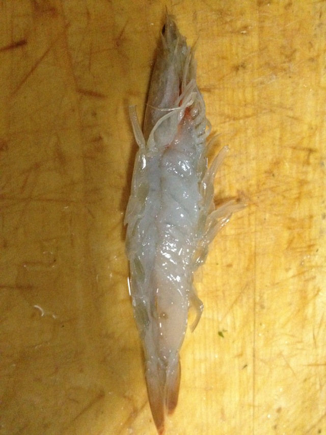 冻虾虾仁变质的照片图片