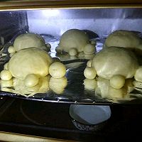乌龟小面包#美的FUN烤箱•焙有FUN儿#的做法图解8