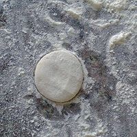 烧麦的做法图解13