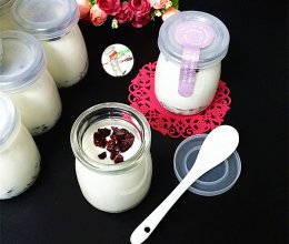 自制蔓越莓酸奶的做法