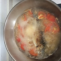 西红柿鲫鱼汤的做法图解5