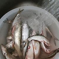 油炸白条的做法图解1