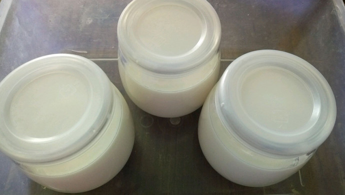 零失败保温杯酸奶