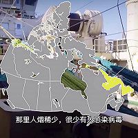 #15分钟周末菜#泰汁锅塌加拿大北极虾的做法图解1