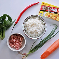 #百梦多圆梦季#蔬菜肉末咖喱炒饭的做法图解1