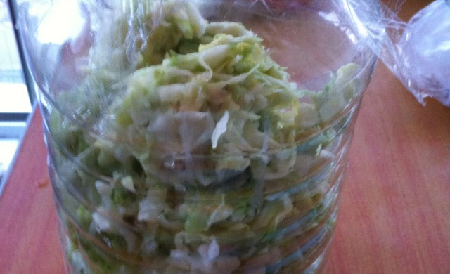 大懒妞罐装 卷心酸菜