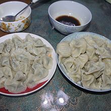 头伏吃饺子 韭菜肉馅的大小饺子