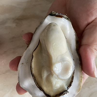 清蒸生蚝原汁原味更美味