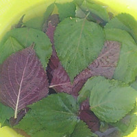 紫苏柠檬饮饮的做法图解1