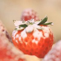草莓奶油蛋糕—迷迭香的做法图解16