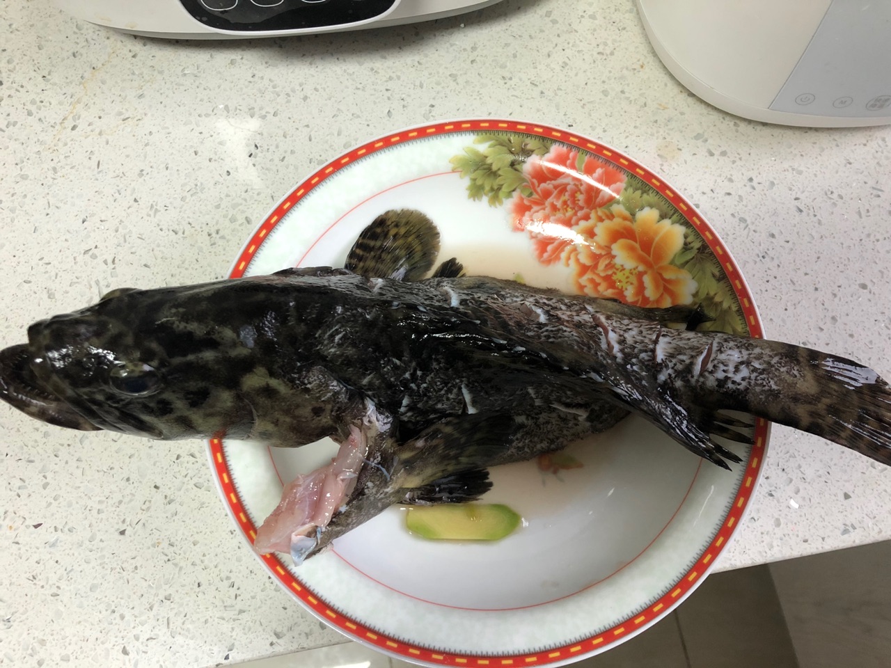 清蒸石斑鱼（老虎斑）怎么做_清蒸石斑鱼（老虎斑）的做法_豆果美食