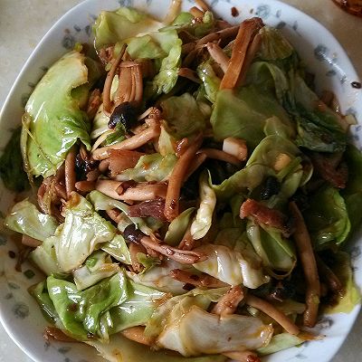 茶树菇干炒包菜