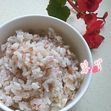 耘尚哈尼梯田红米饭