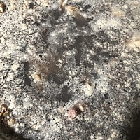 羊蝎子滋补清汤锅的做法图解1