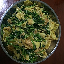 菠菜粉饹馇