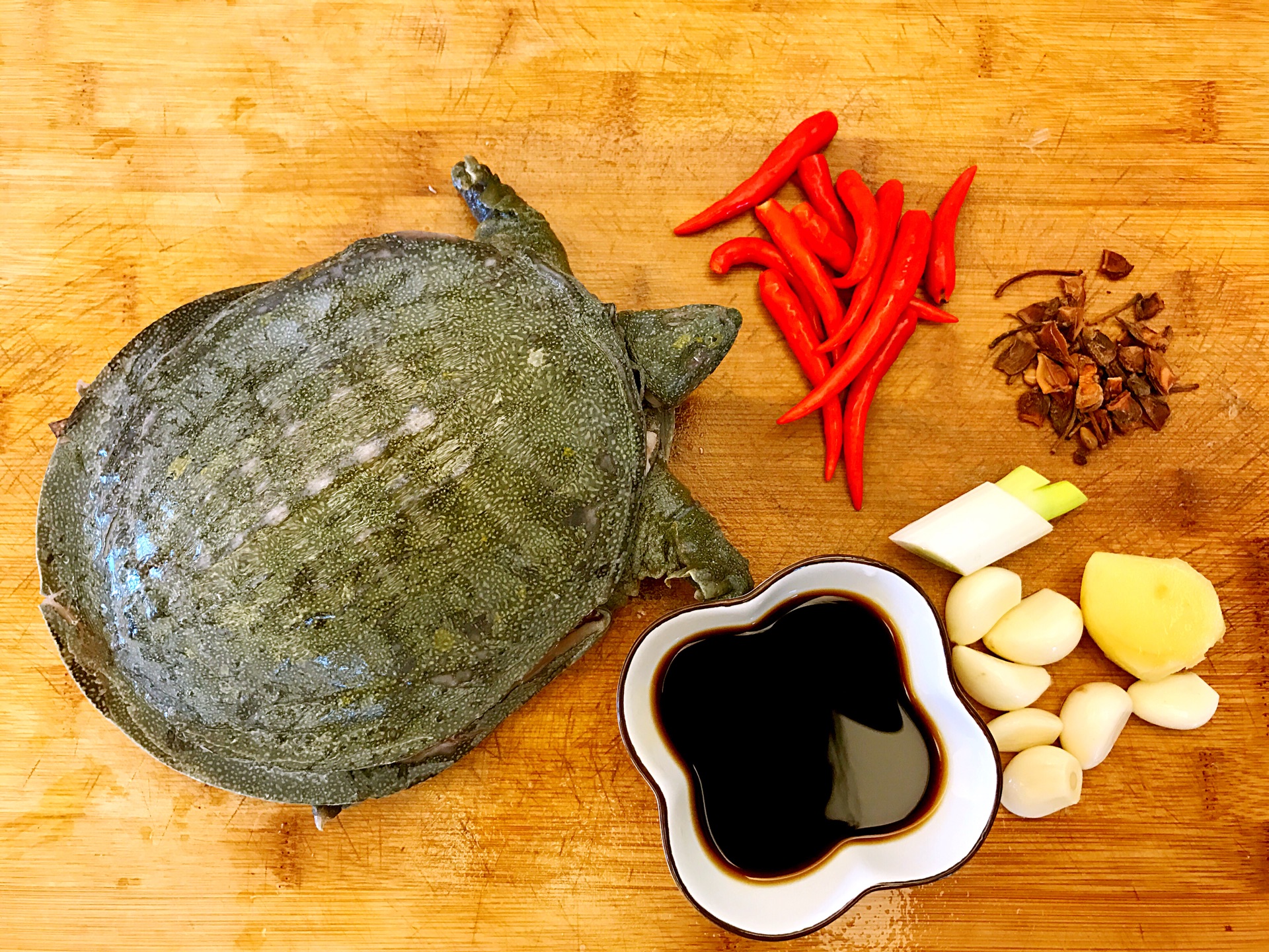 大厨教你“红焖甲鱼”最家常做法，简单快捷无腥味，鲜香味美超级下饭 - 哔哩哔哩