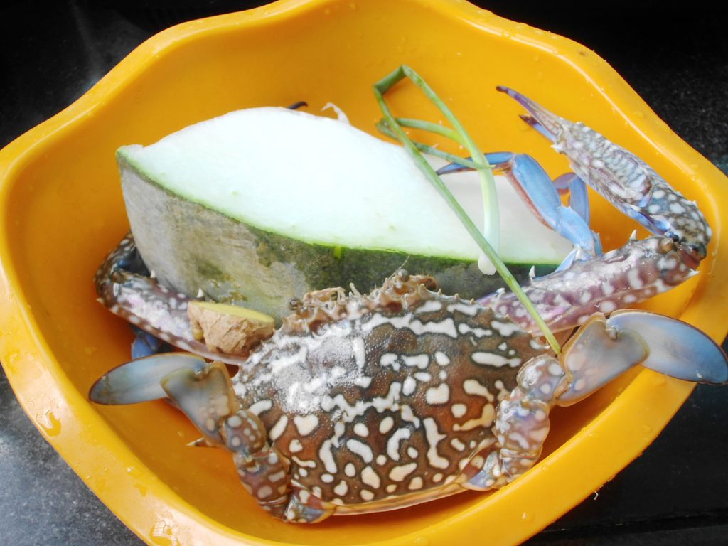 花蟹冬瓜汤这样做原汁原味，方法简单，味道鲜甜，喝汤吃肉两不误 - 哔哩哔哩