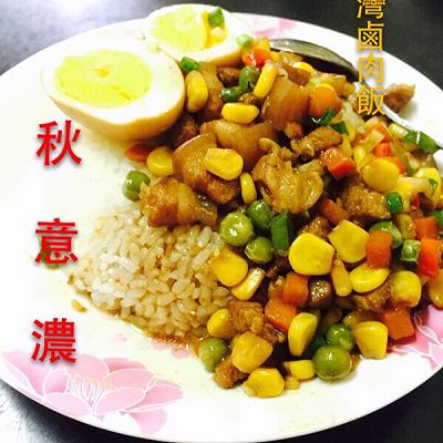 台湾卤肉饭（正宗）