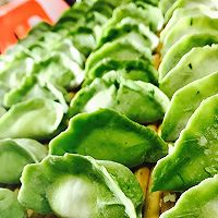 翡翠茴香猪肉饺子的做法图解6