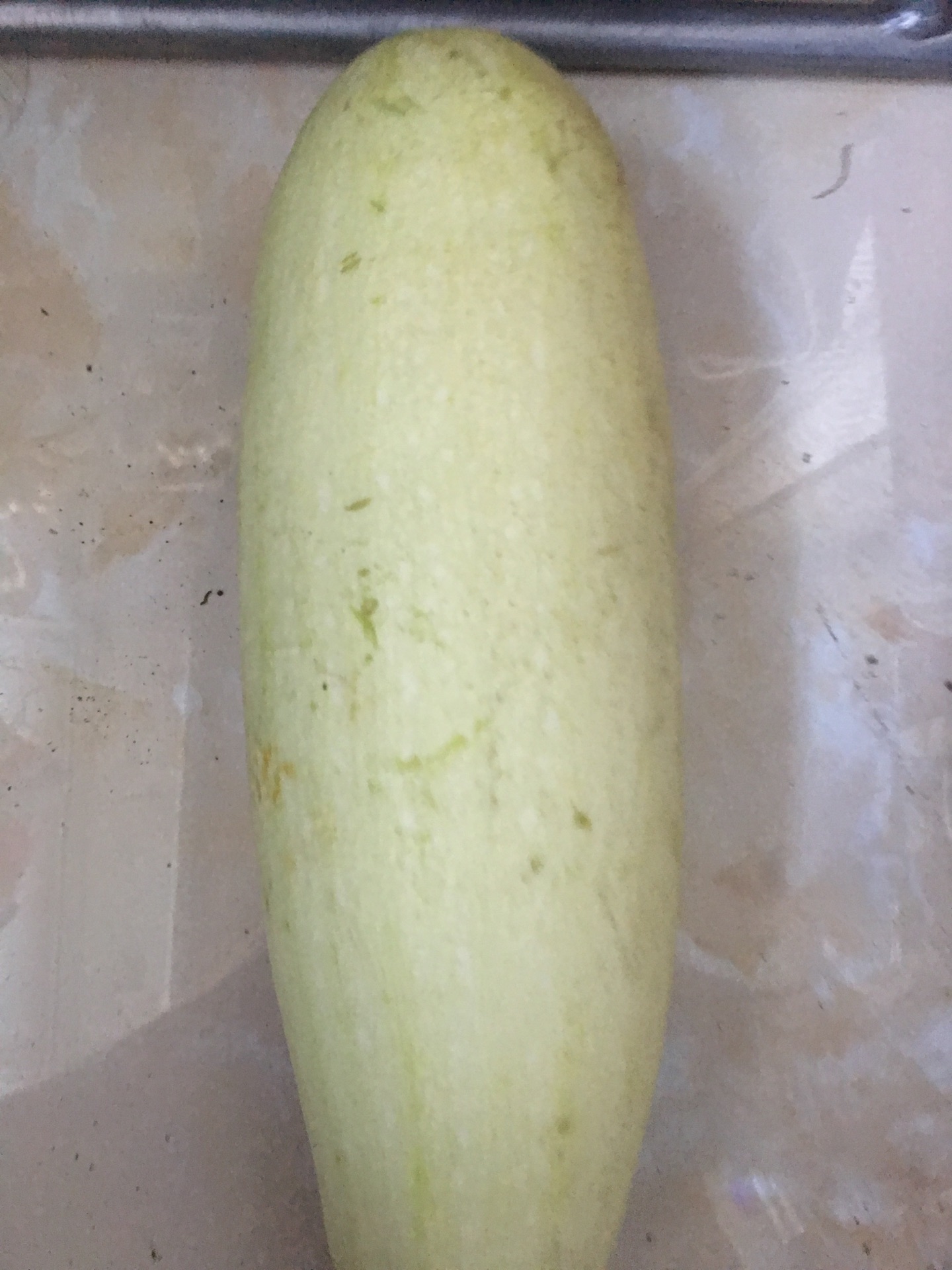 洋香瓜(Melon) 瓜瓜瓜: 品種選擇
