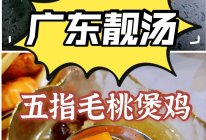 广东靓汤—五指毛桃煲鸡汤滋补、香甜的做法