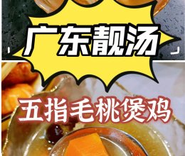 广东靓汤—五指毛桃煲鸡汤滋补、香甜的做法