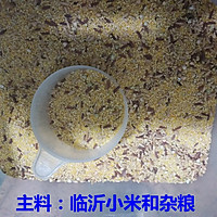 海参小米粥的另类做法的做法图解1