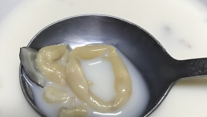 牛奶炖花胶