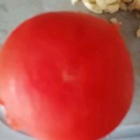 番茄有机菜花的做法图解1