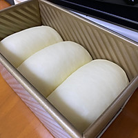 超级松软拉丝的牛奶吐司的做法图解13