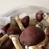 排骨炖蘑菇的做法图解1