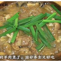 #冬季滋补花样吃法# 广东人的羊腩煲最适合冬天吃啦！滋补暖身的做法图解5