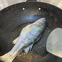 年年有鱼—黄焖酱烧鲈鱼的做法图解1