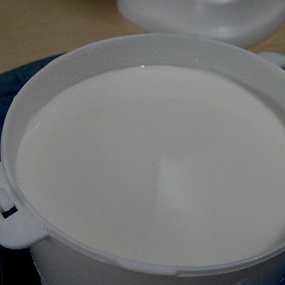 超简单的养生壶酸奶