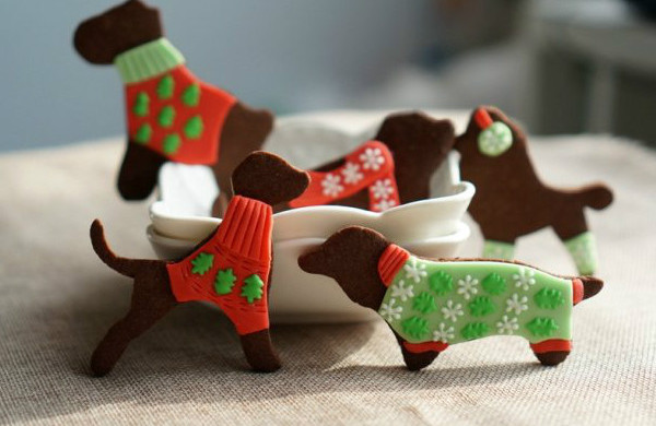 圣诞将至，穿着毛衣的圣诞狗饼干【让小动物们也一起欢乐吧】