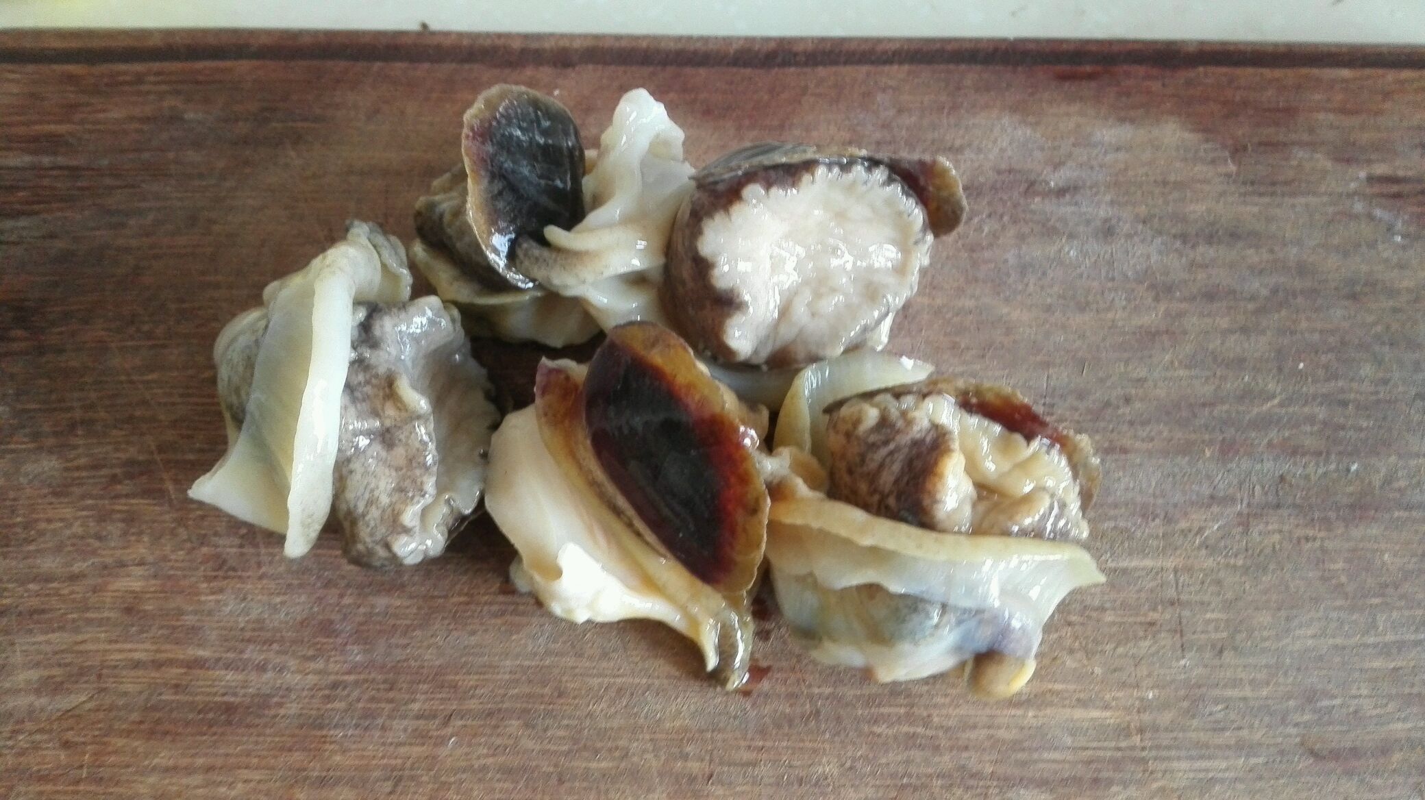 快手海鲜--葱油螺片怎么做_快手海鲜--葱油螺片的做法_阿罗al_豆果美食
