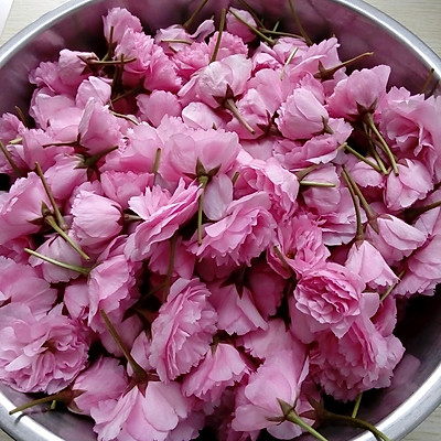 樱花酱