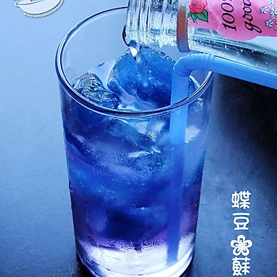 梦幻蝶豆花饮料 Natural Blue Soda