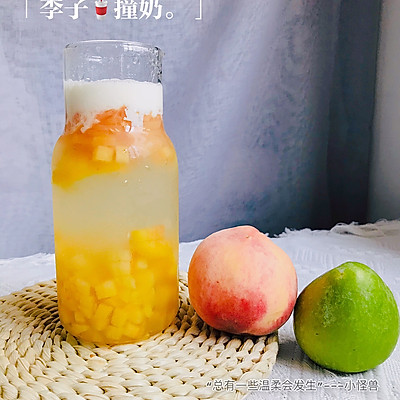 酸酸甜甜，温暖如斯-李子撞奶
