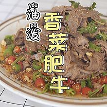 油泼香菜肥牛