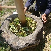 乌饭的做法图解1