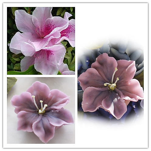 杜鹃花（韩式豆沙裱花）